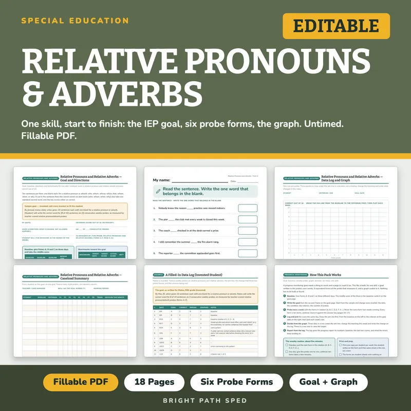 Relative Pronouns and Adverbs Progress Monitoring Probes, image 1 of 4
