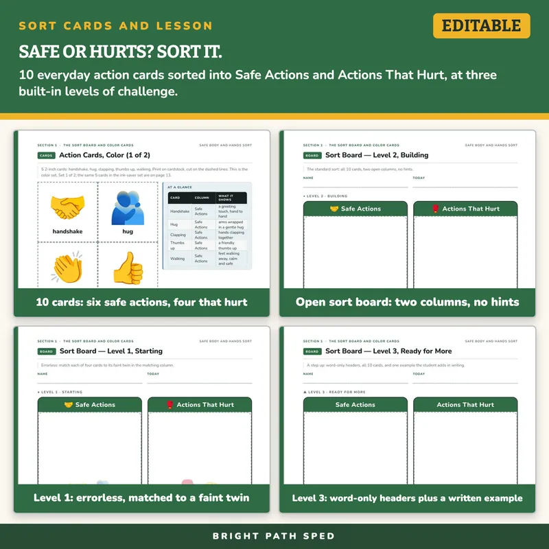Safe Body and Safe Hands Sort Cards and Lesson, image 3 of 4