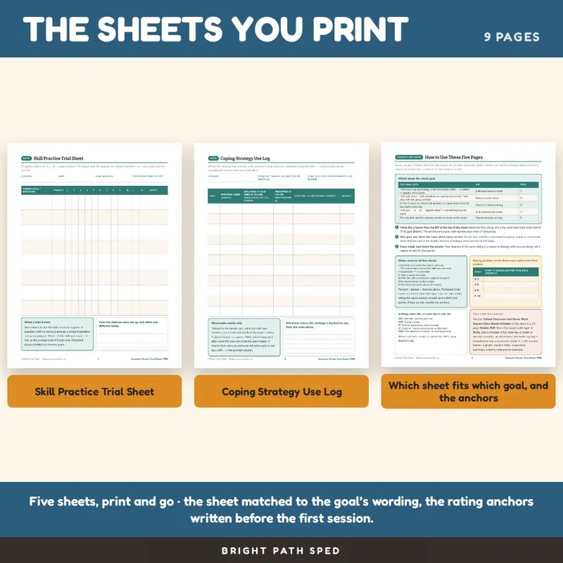 School Counselor Data Sheets FREE, image 3 of 4