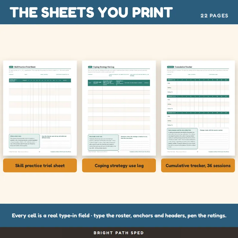 School Counselor Social Work Data Sheets Editable, image 3 of 4