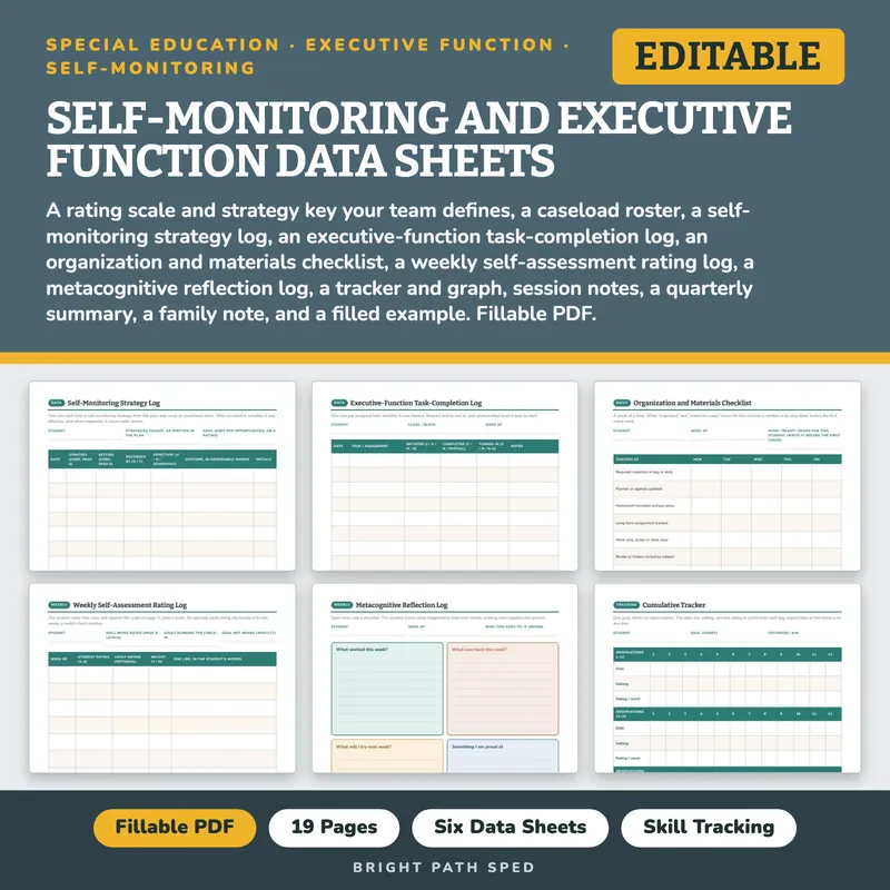 Self-Monitoring Self-Regulation Executive Function Data Sheets Editable, image 1 of 4