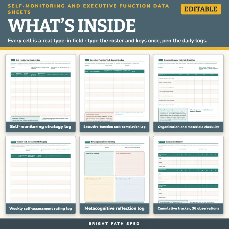 Self-Monitoring Self-Regulation Executive Function Data Sheets Editable, image 2 of 4