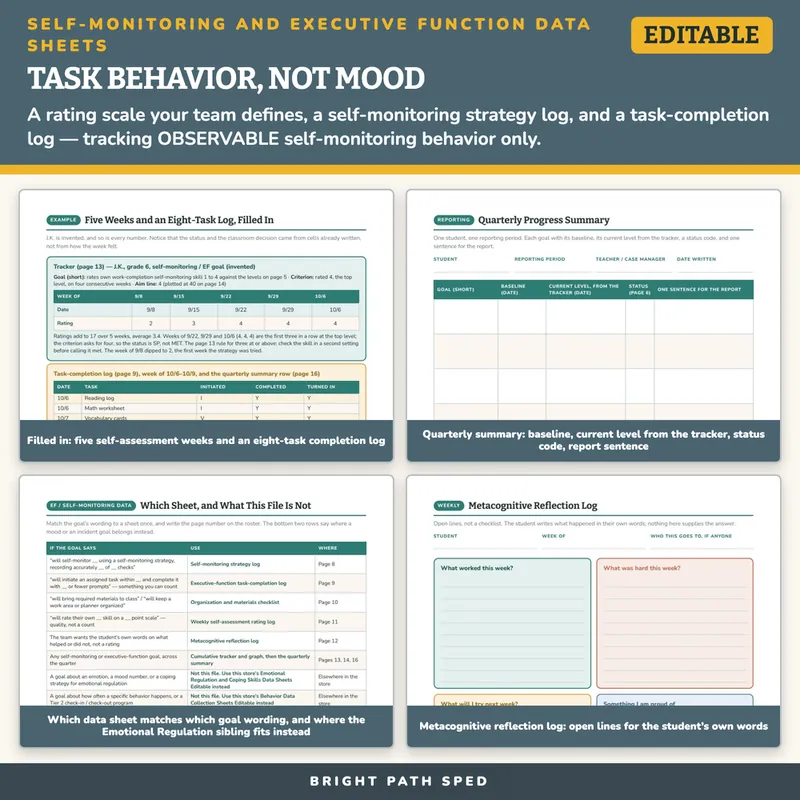 Self-Monitoring Self-Regulation Executive Function Data Sheets Editable, image 3 of 4