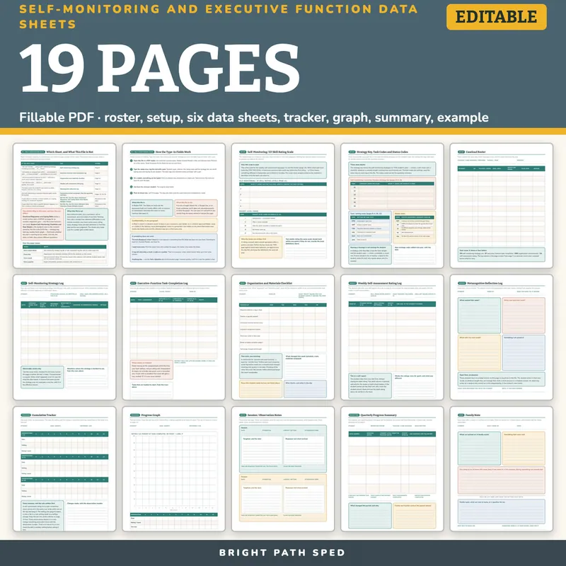 Self-Monitoring Self-Regulation Executive Function Data Sheets Editable, image 4 of 4