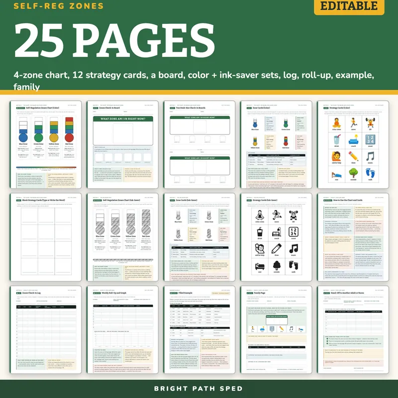 Self-Regulation Zones Check-In Chart and Strategy Cards, image 4 of 4