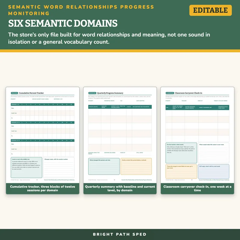 Semantic Word Relationships Progress Monitoring Editable, image 3 of 4