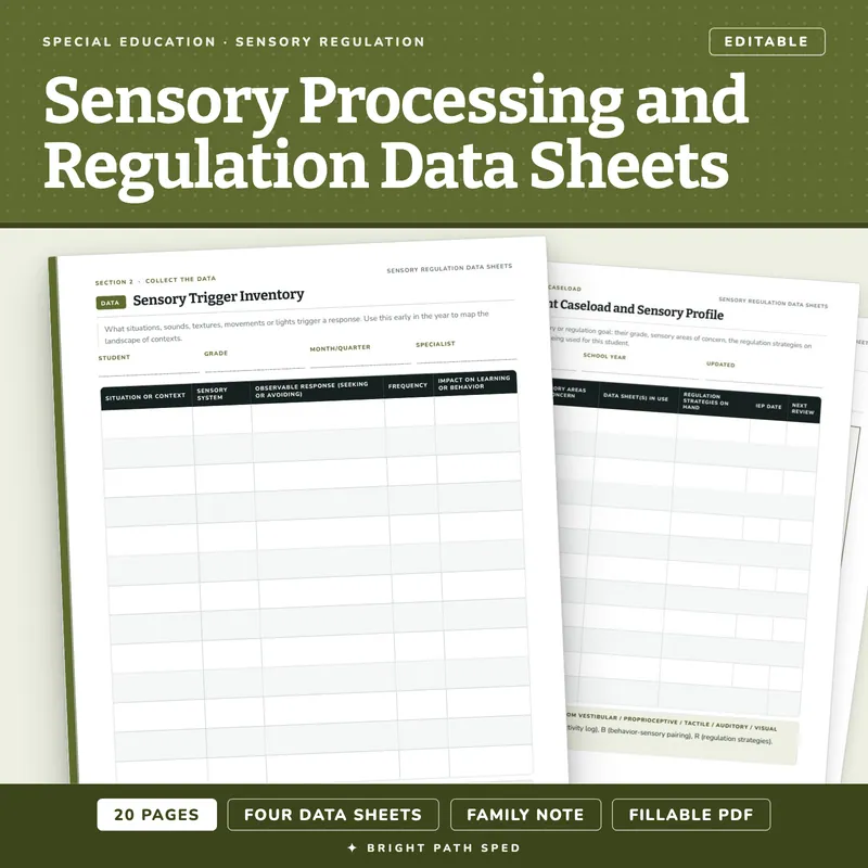 Sensory Processing and Regulation Data Sheets Editable, image 1 of 4