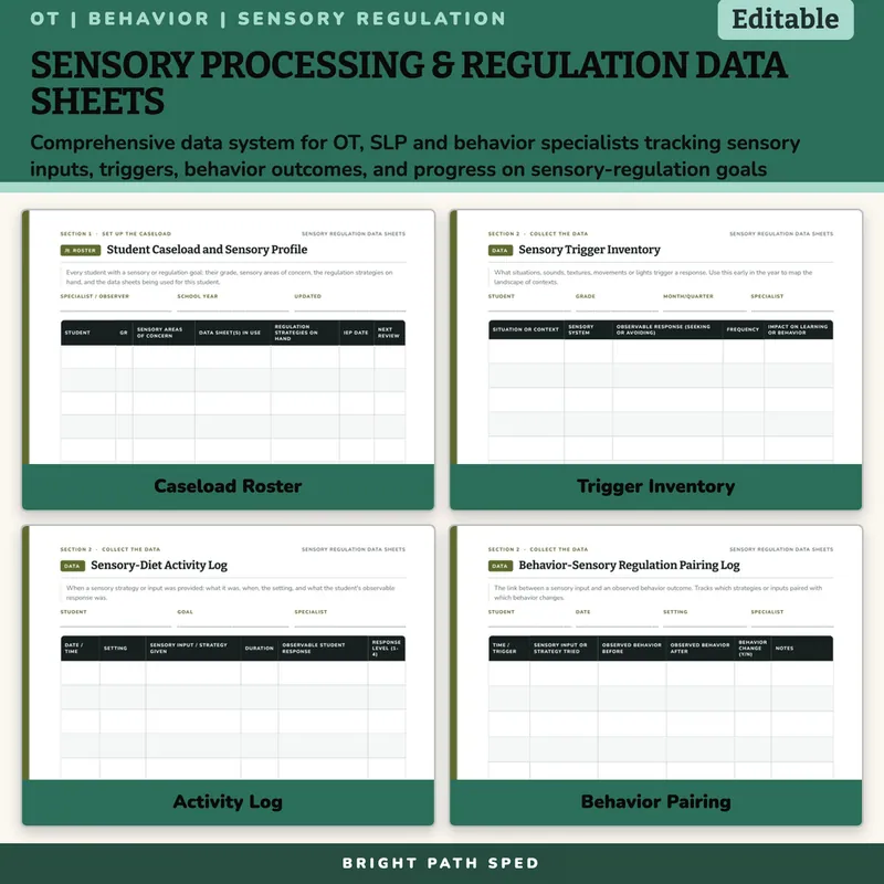 Sensory Processing and Regulation Data Sheets Editable, image 3 of 4