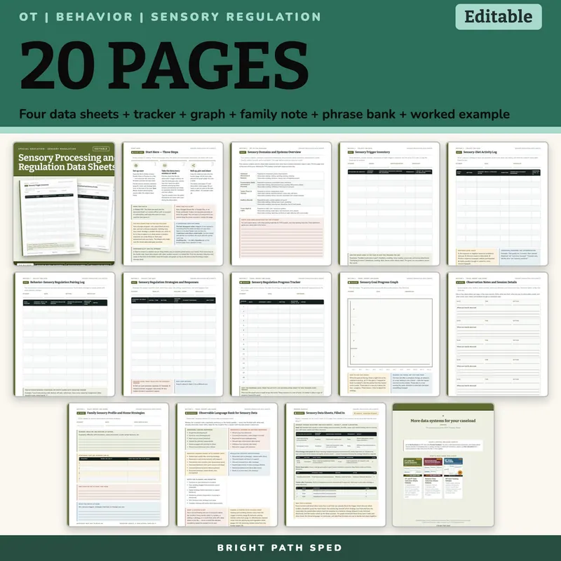 Sensory Processing and Regulation Data Sheets Editable, image 4 of 4