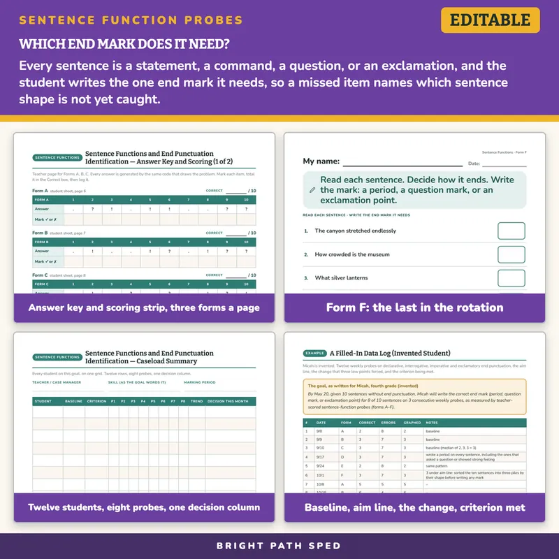 Sentence Functions End Punctuation Progress Monitoring Probes, image 3 of 4