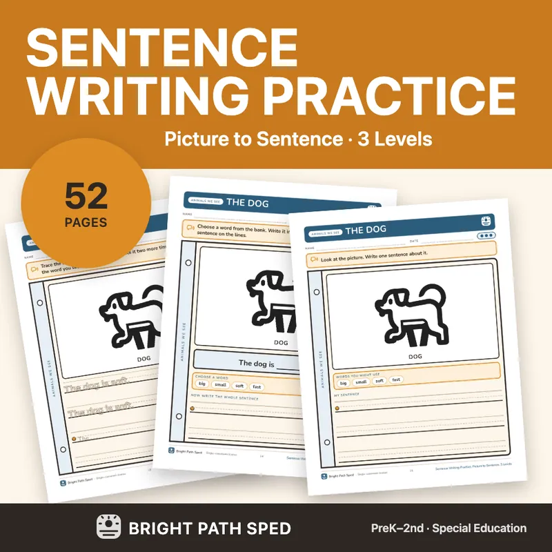 Sentence Writing Practice 3 Levels, image 1 of 4