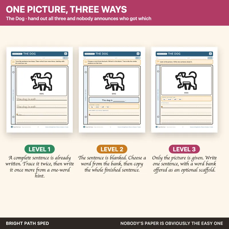 Sentence Writing Practice 3 Levels, image 3 of 4