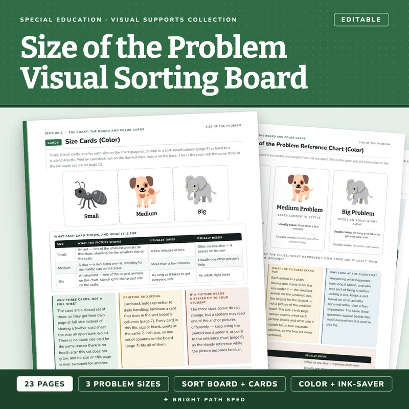 Size of the Problem Visual Sorting Board Editable, image 1 of 4