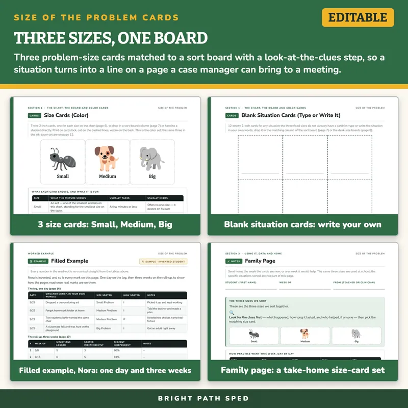 Size of the Problem Visual Sorting Board Editable, image 3 of 4