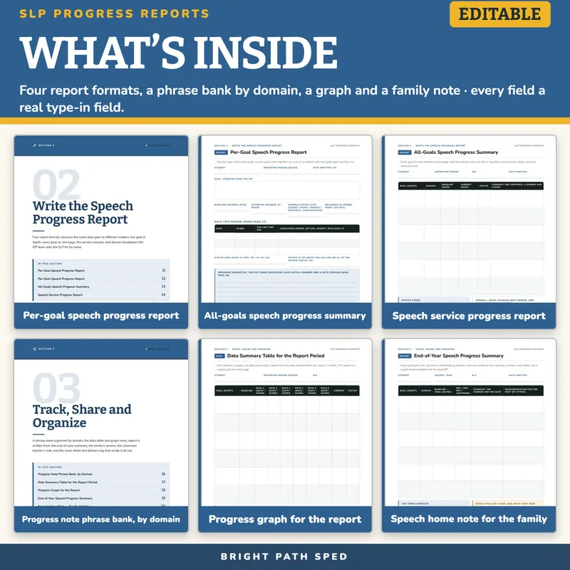 SLP Progress Report Template, image 2 of 4
