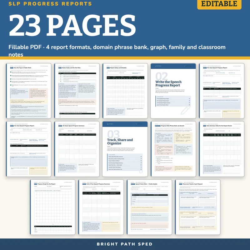 SLP Progress Report Template, image 4 of 4