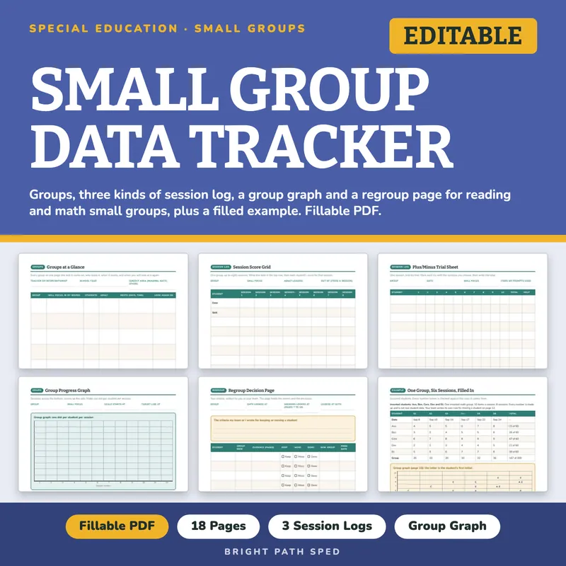 Small Group Data Tracker Editable, image 1 of 4
