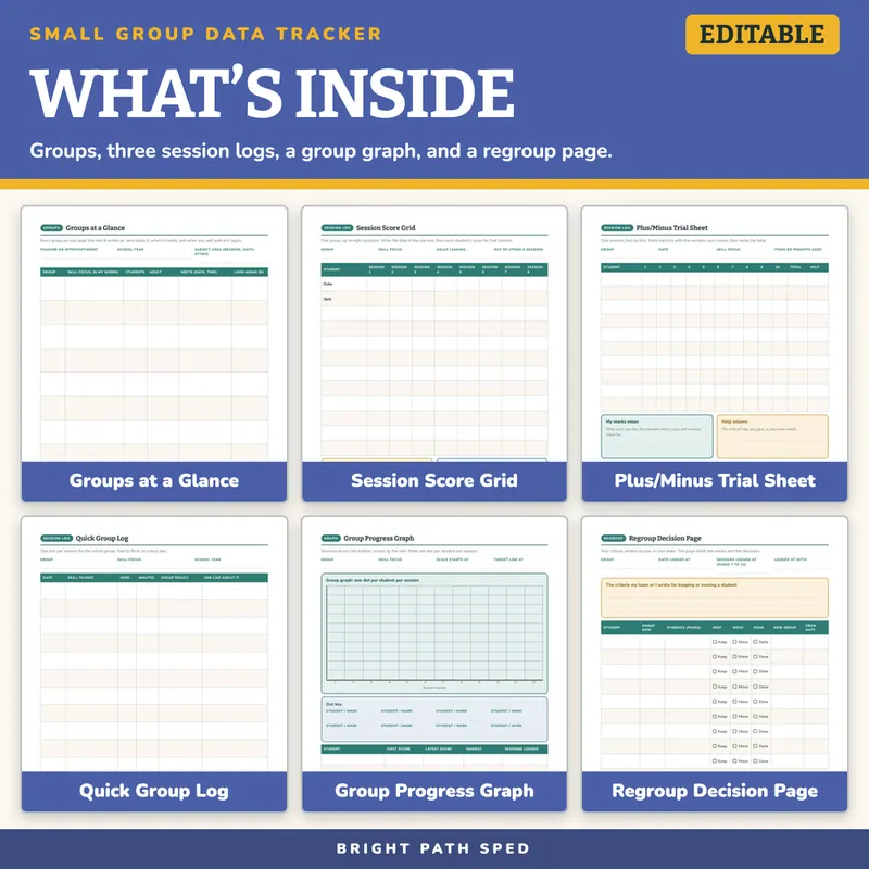 Small Group Data Tracker Editable, image 2 of 4