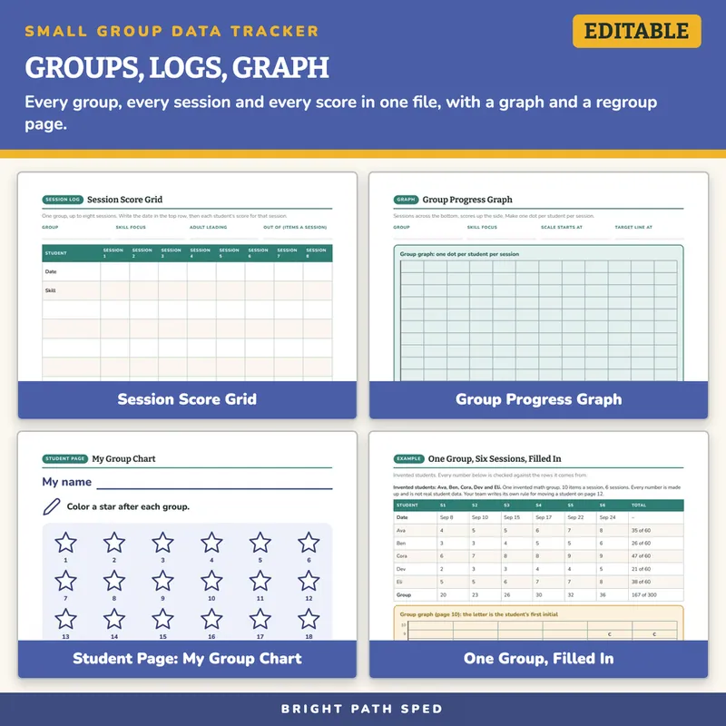 Small Group Data Tracker Editable, image 3 of 4
