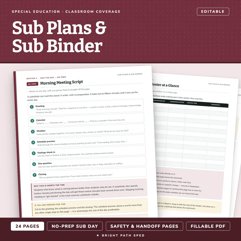 Special Education Sub Plans and Sub Binder, image 1 of 4