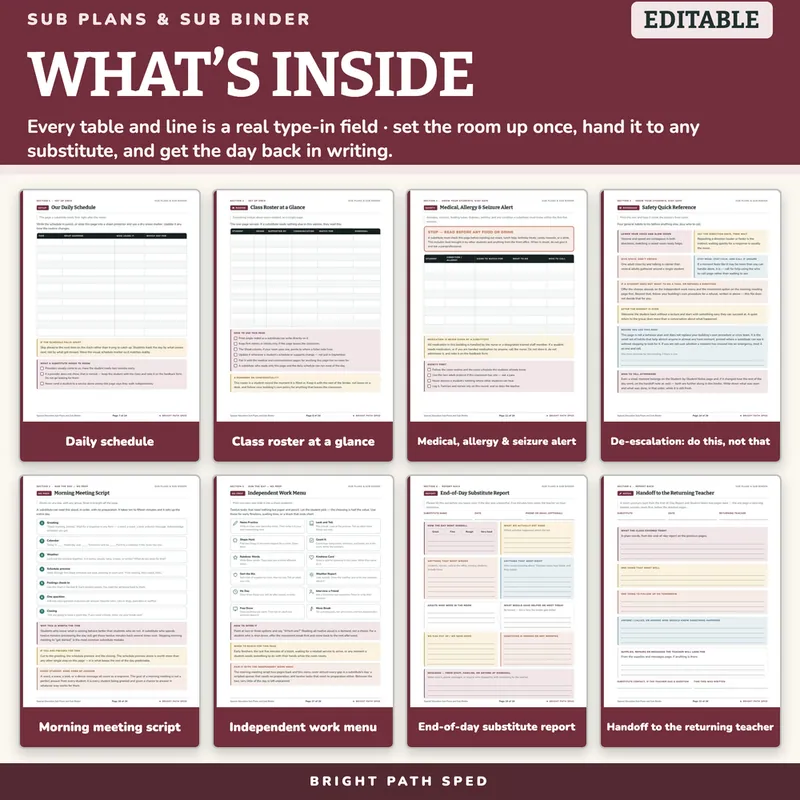 Special Education Sub Plans and Sub Binder, image 2 of 4