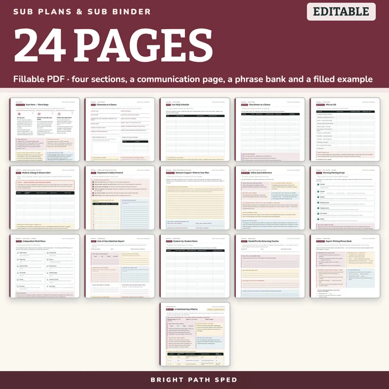 Special Education Sub Plans and Sub Binder, image 4 of 4