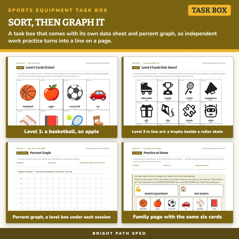 Sports Equipment Sort Task Box, image 3 of 4