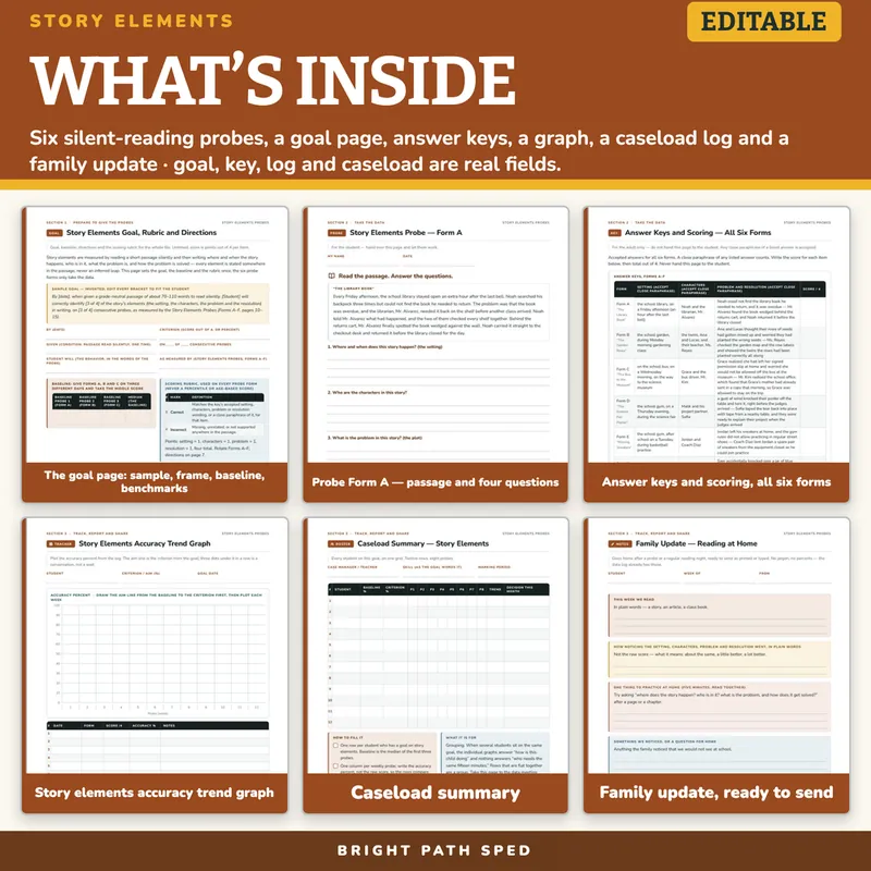 Story Elements Probes Editable, image 2 of 4