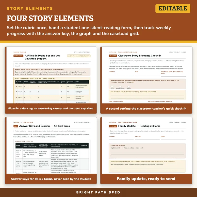 Story Elements Probes Editable, image 3 of 4