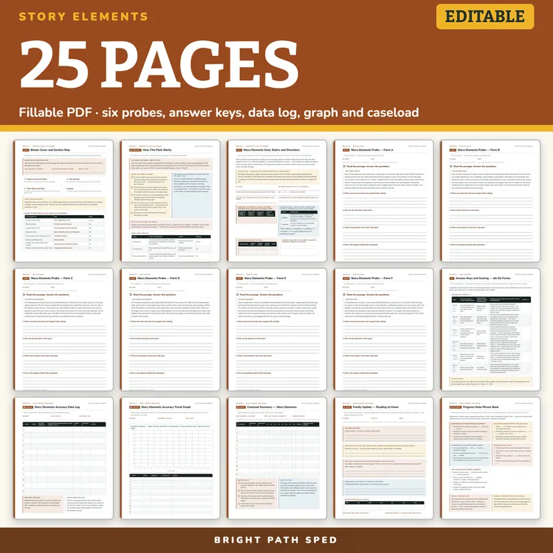 Story Elements Probes Editable, image 4 of 4