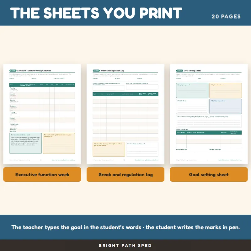 Student Self Monitoring Checklists Editable, image 3 of 4