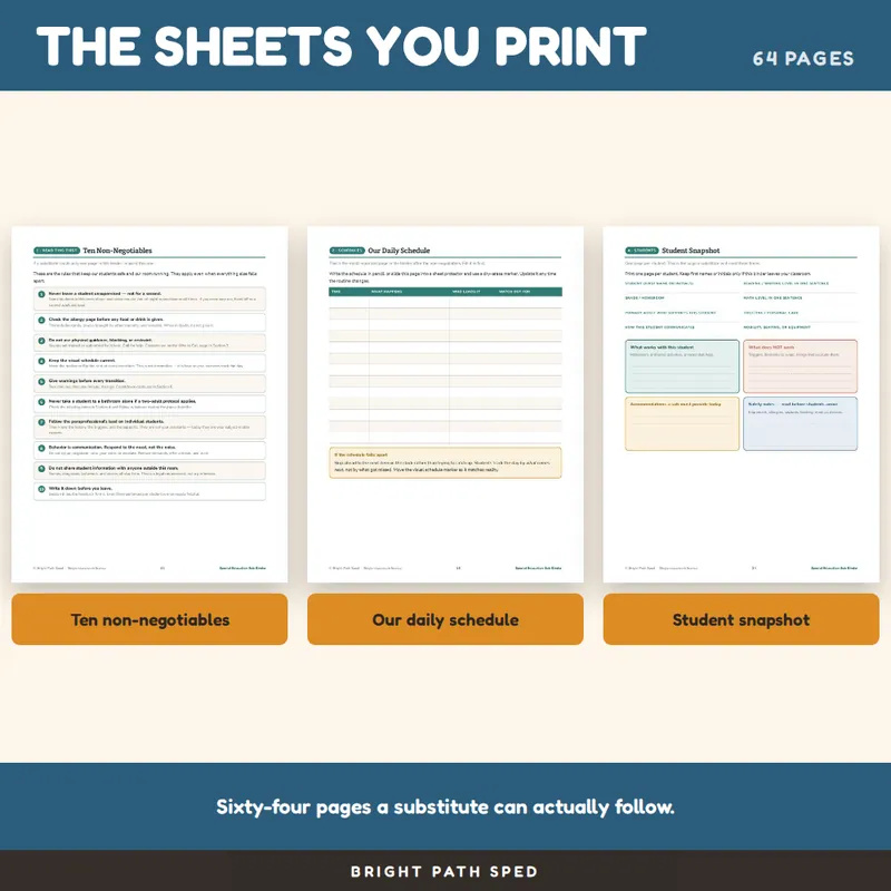 Sub Binder for Special Education, image 3 of 4