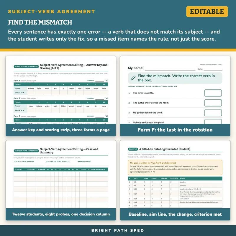Subject-Verb Agreement Editing Progress Monitoring Probes, image 3 of 4