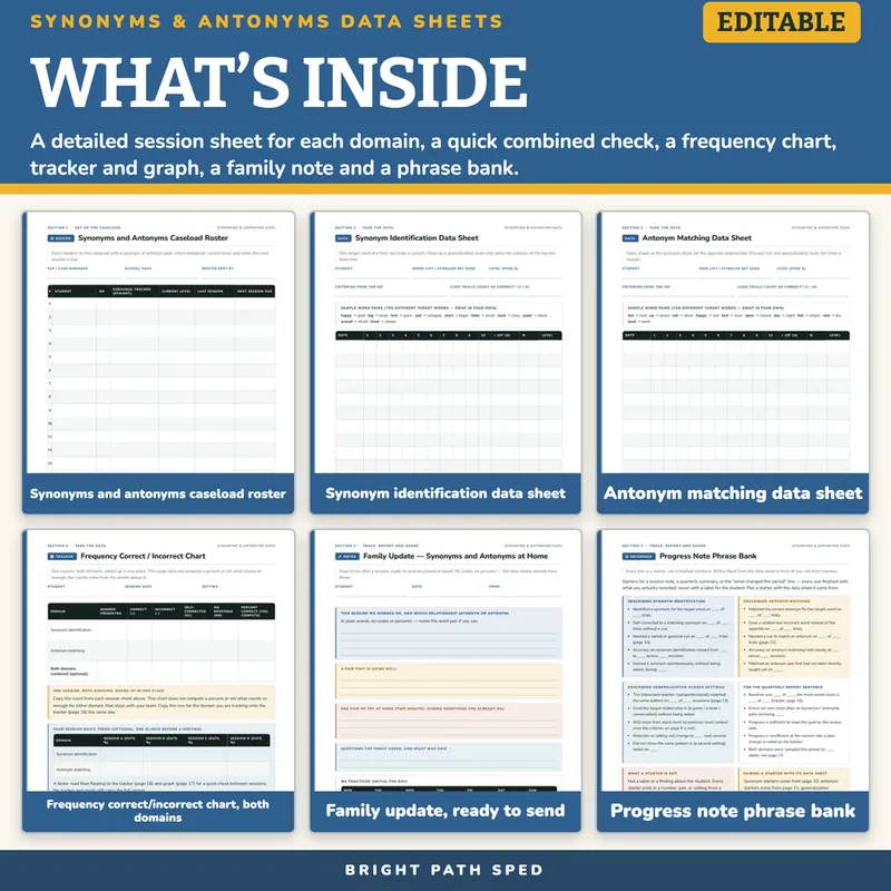 Synonyms and Antonyms Progress Monitoring Data Sheets Editable, image 2 of 4