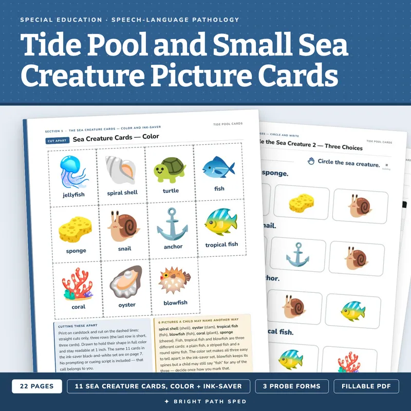 Tide Pool Picture Cards, image 1 of 4
