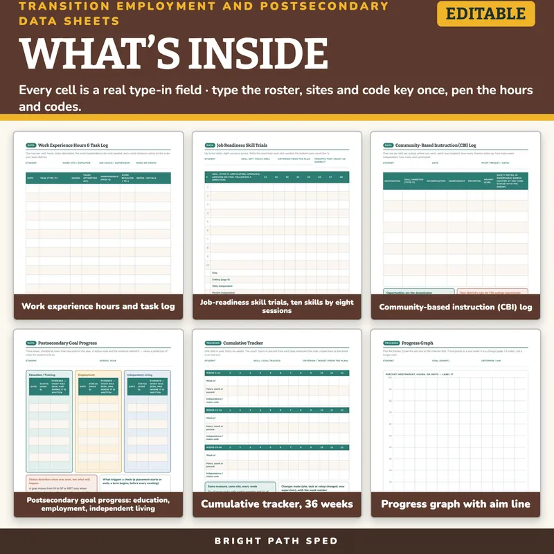 Transition Employment Postsecondary Data Sheets Editable, image 2 of 4