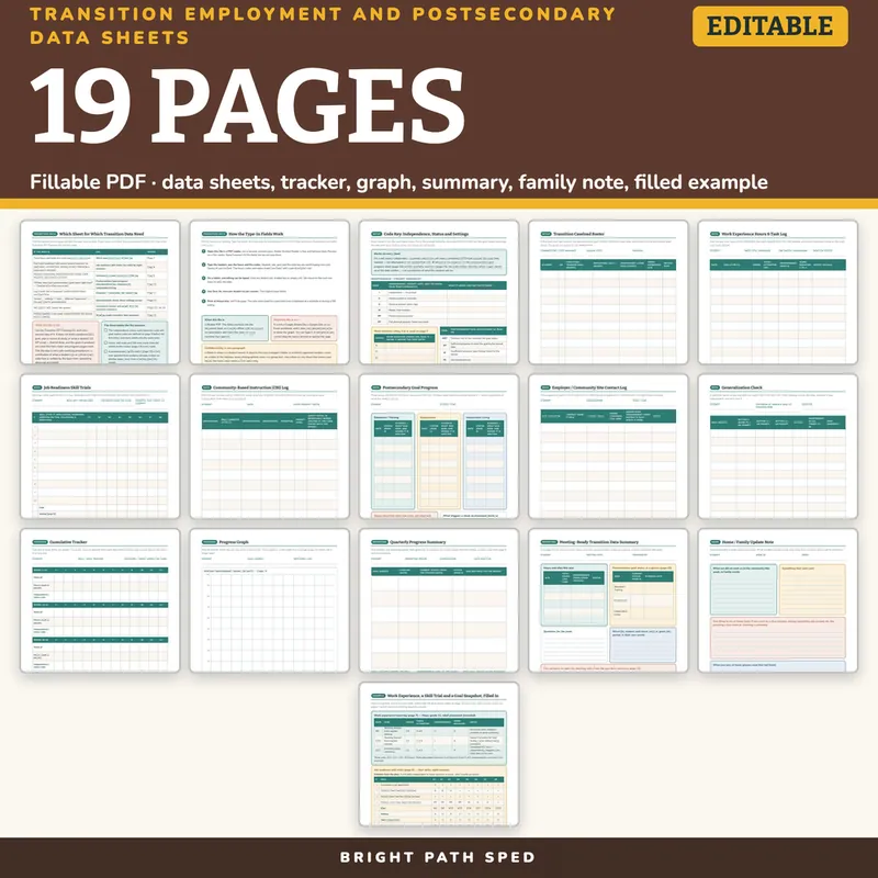 Transition Employment Postsecondary Data Sheets Editable, image 4 of 4