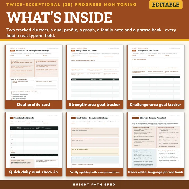 Twice-Exceptional (2e) Progress Monitoring Data Sheets Editable, image 2 of 4