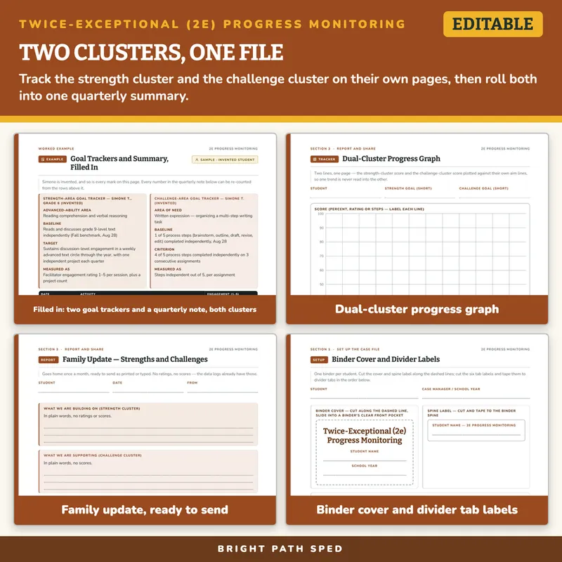 Twice-Exceptional (2e) Progress Monitoring Data Sheets Editable, image 3 of 4