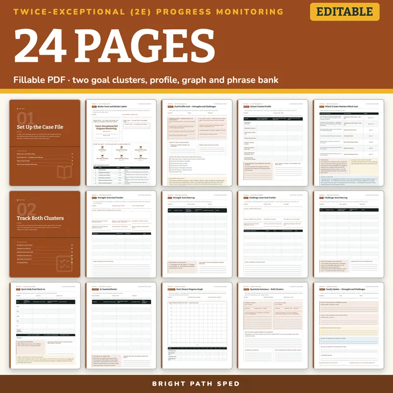 Twice-Exceptional (2e) Progress Monitoring Data Sheets Editable, image 4 of 4