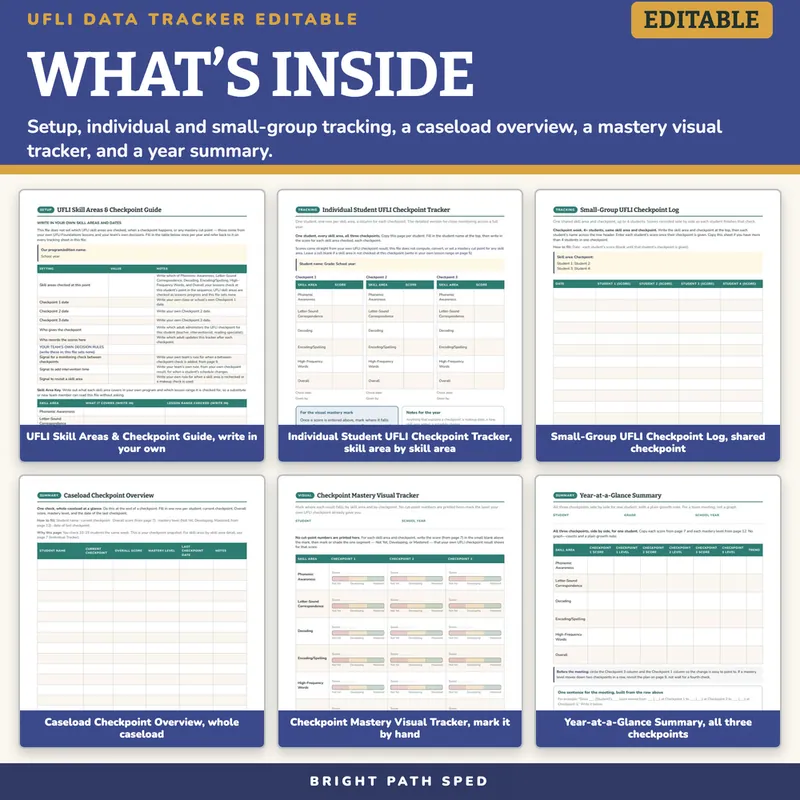 UFLI Data Tracker Editable, for Use With UFLI Foundations Lessons, image 2 of 4