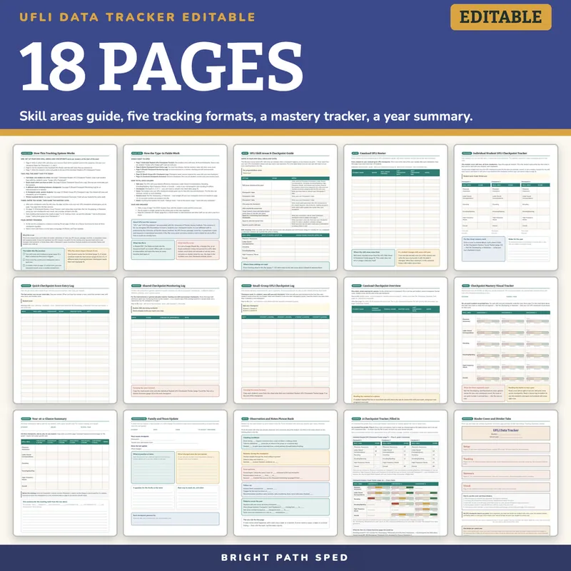 UFLI Data Tracker Editable, for Use With UFLI Foundations Lessons, image 4 of 4