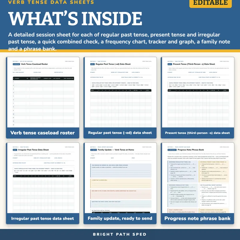 Verb Tense Regular and Irregular Progress Monitoring Data Sheets Editable, image 2 of 4