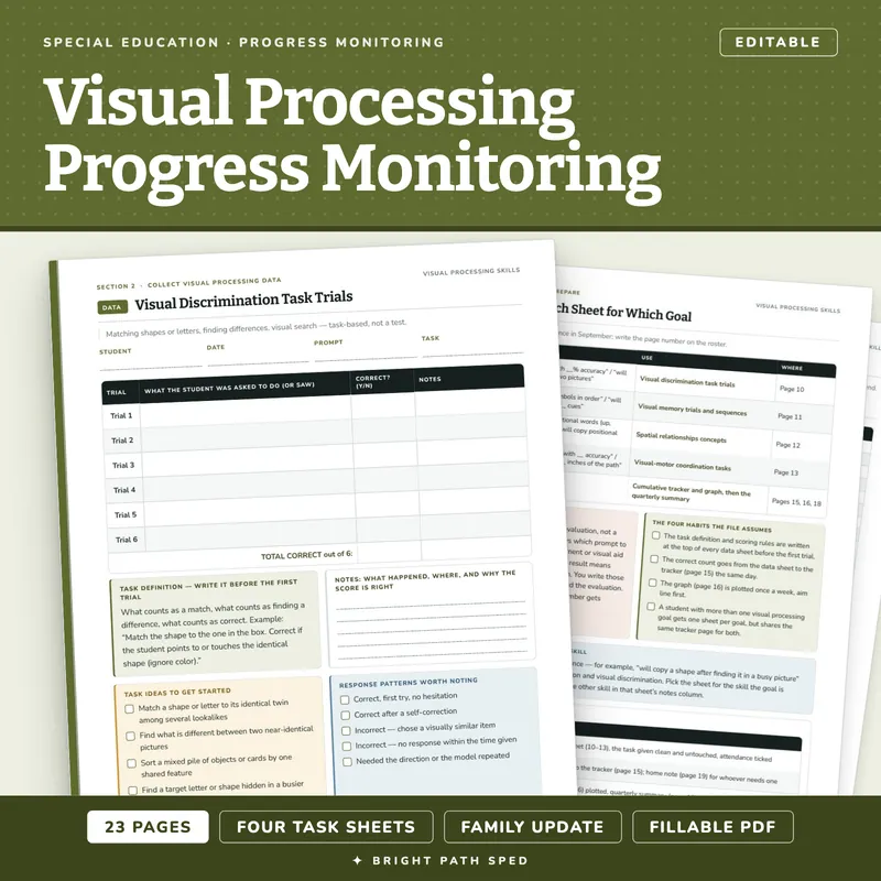 Visual Processing and Perception Skills Progress Monitoring, image 1 of 4