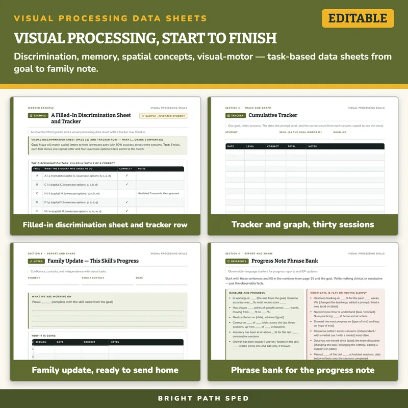 Visual Processing and Perception Skills Progress Monitoring, image 3 of 4
