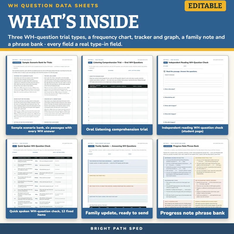 WH Question Data Sheets Editable, image 2 of 4