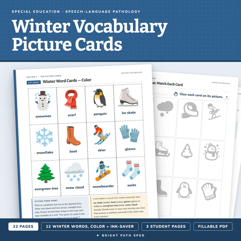 Winter Vocabulary Picture Cards, image 1 of 4