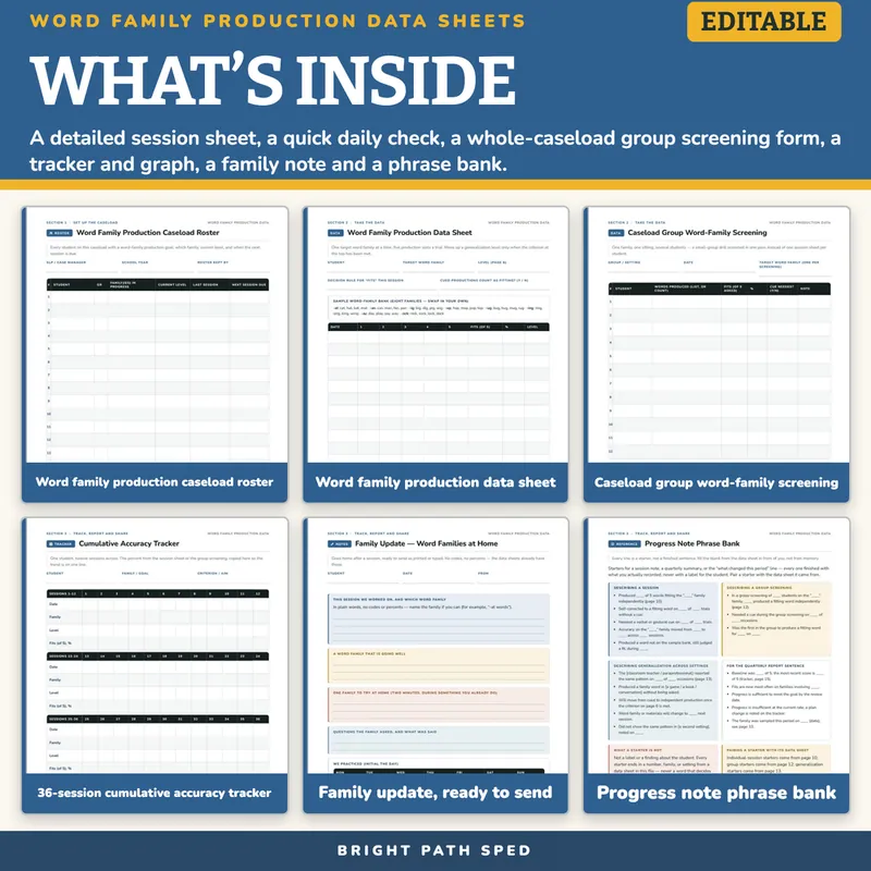 Word Family Production Progress Monitoring Data Sheets Editable, image 2 of 4