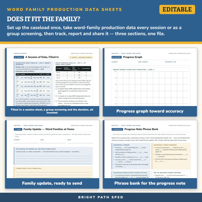 Word Family Production Progress Monitoring Data Sheets Editable, image 3 of 4