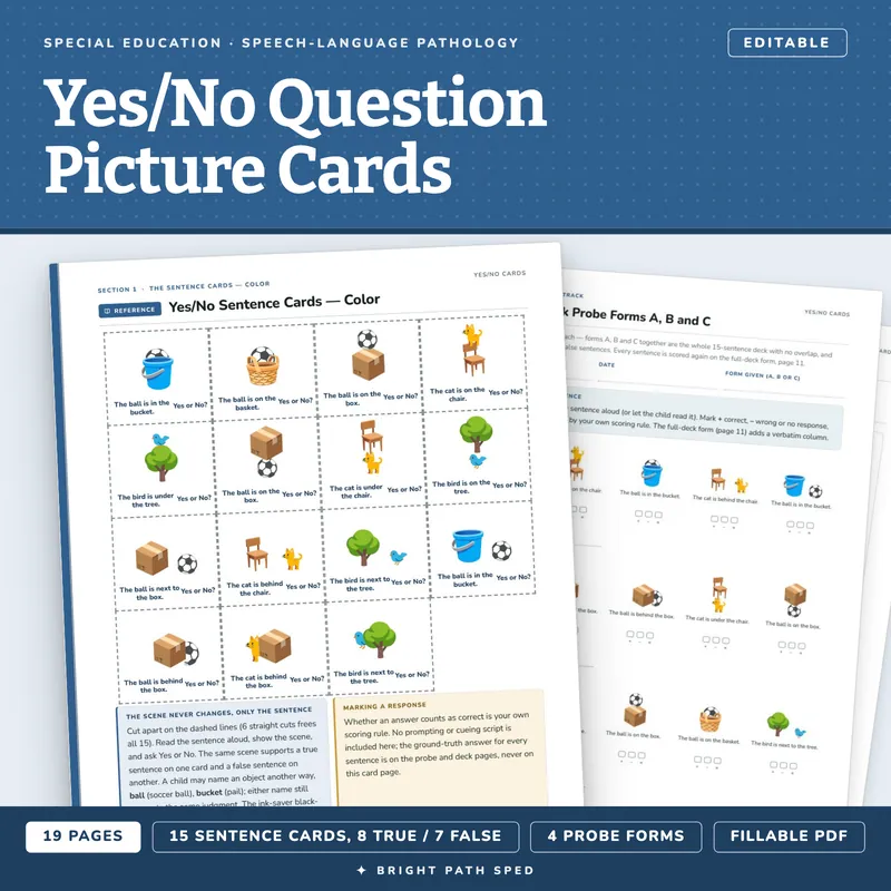 Yes/No Question Picture Cards and Sentences, image 1 of 4